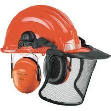 Casco Forestale